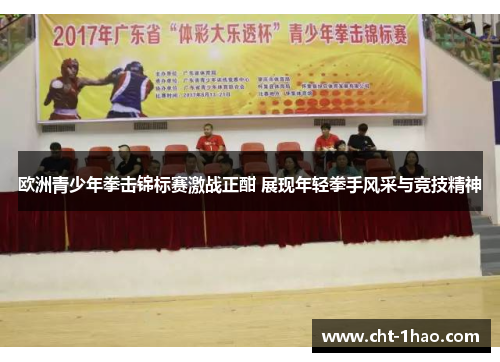 欧洲青少年拳击锦标赛激战正酣 展现年轻拳手风采与竞技精神