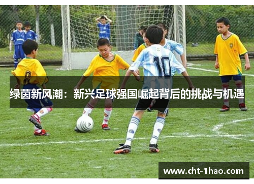 绿茵新风潮：新兴足球强国崛起背后的挑战与机遇